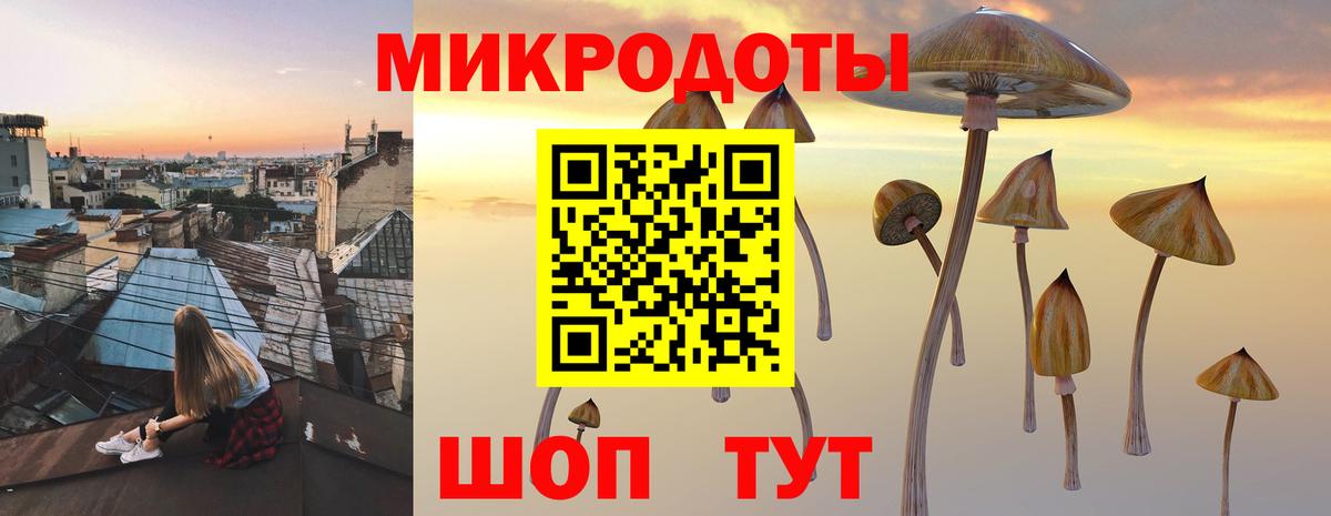 Псилоцибиновые грибы ЛСД  где найти наркотики  Ртищево  Вход с VPN  Псилоцибиновые грибы мицелий 