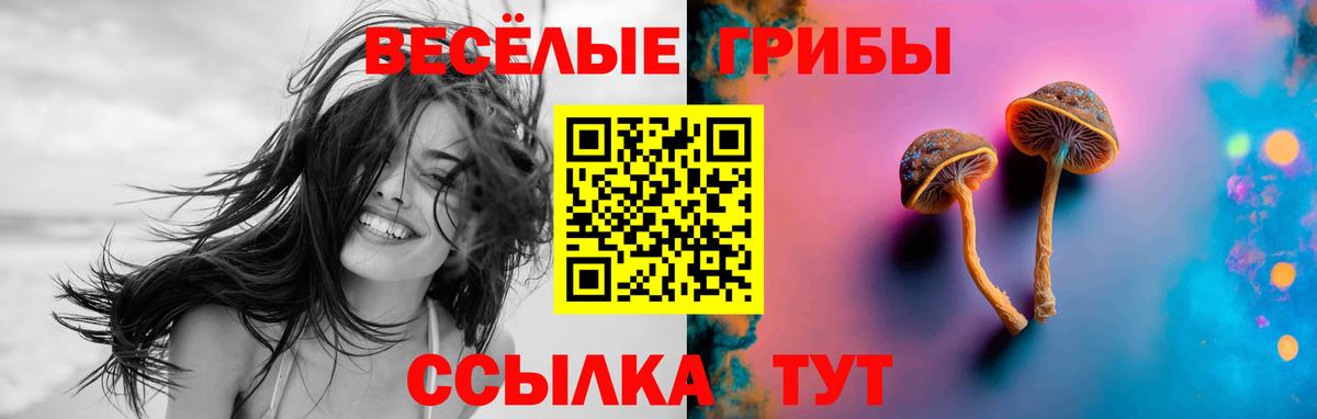 Псилоцибиновые грибы Psilocybine cubensis Ртищево